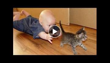Videos that make babies and cats laugh