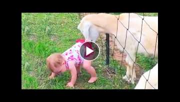 Kids and Babies Feeding Animals in ZOO - Cute Babies Meeting Animals for the first time Kids and Babies Feeding Animals in ZOO - Cute Babies Meeting Animals for the first time