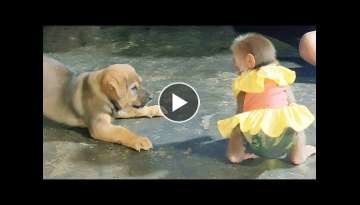 Cute Puppy just likes to joke, but Sky is very hot tempered