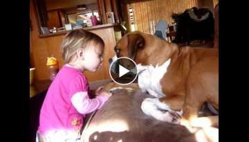 Zia The Boxer Gets Kisses From Milan