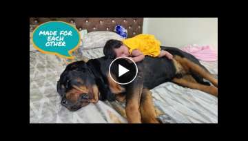 newborn baby with dog|| aaru and Jerry's story