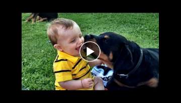 Rottweiler Love Baby Compilation NEW