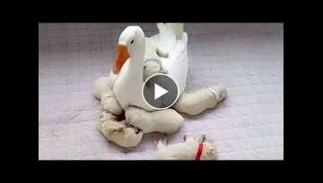 Gentle Goose Preciously Watches Over Newborn Puppies