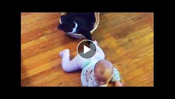 Adorable and Funny Babies Playing With Cats || Cool Peachy