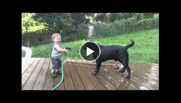 Best Friends - Russell and Cooper - Baby Laughing - Dog Bath