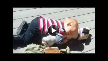 Funny Baby Playing with Dog Compilation of Week