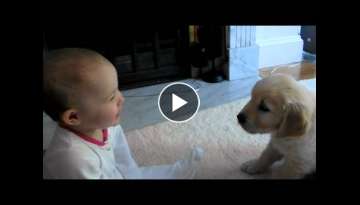 Baby and Puppy meet for the first time!