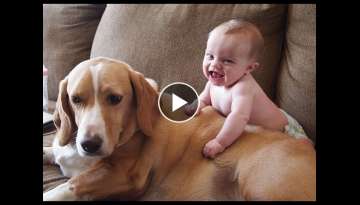 Cute Cats and Dogs Love Babies Compilation Cute Cats and Dogs Love Babies Compilation