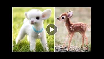 Top 10 Cute Animals In The World