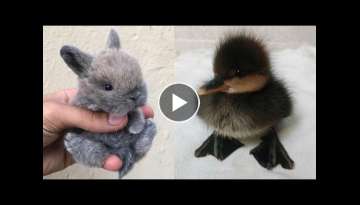 Cute baby animals Videos Compilation cute moment of the animals - Cutest Animals
