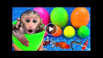 Monkey Baby Bon Bon open rainbow egg containing ducklings and eats ice cream with puppy the pool